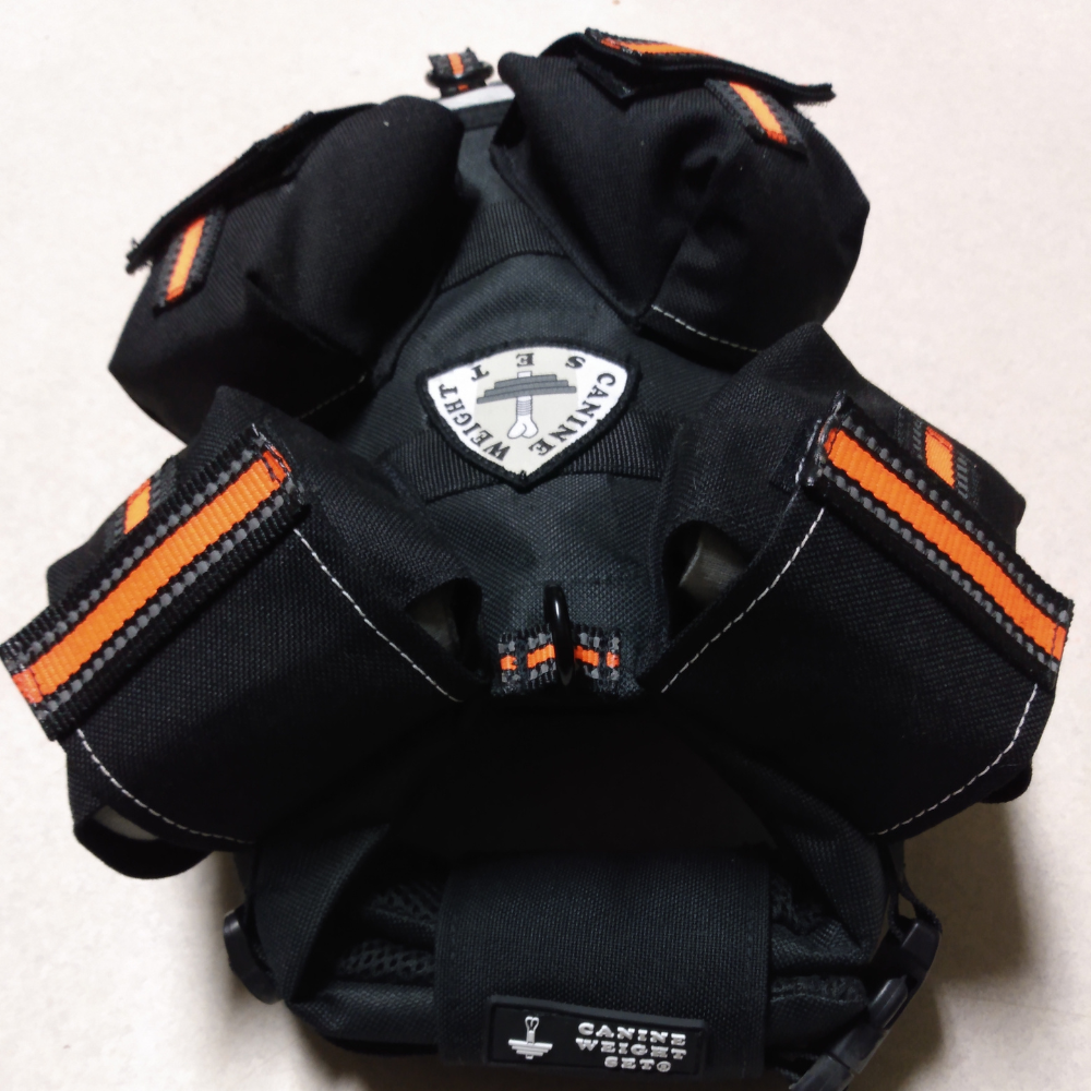 Benefits in Purchasing a Weighted Vest for your Dog