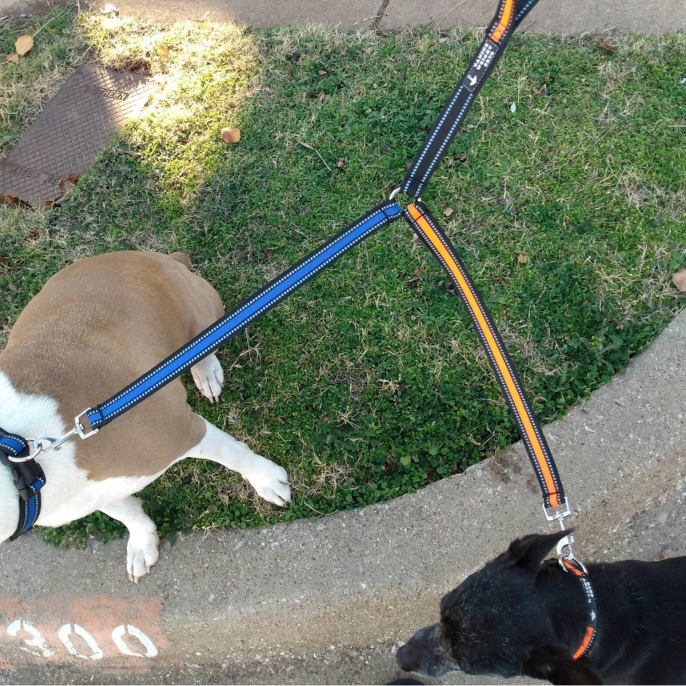 Dual Dog Walker Leash™ Custom Made To Use For A Couple Of Reasons