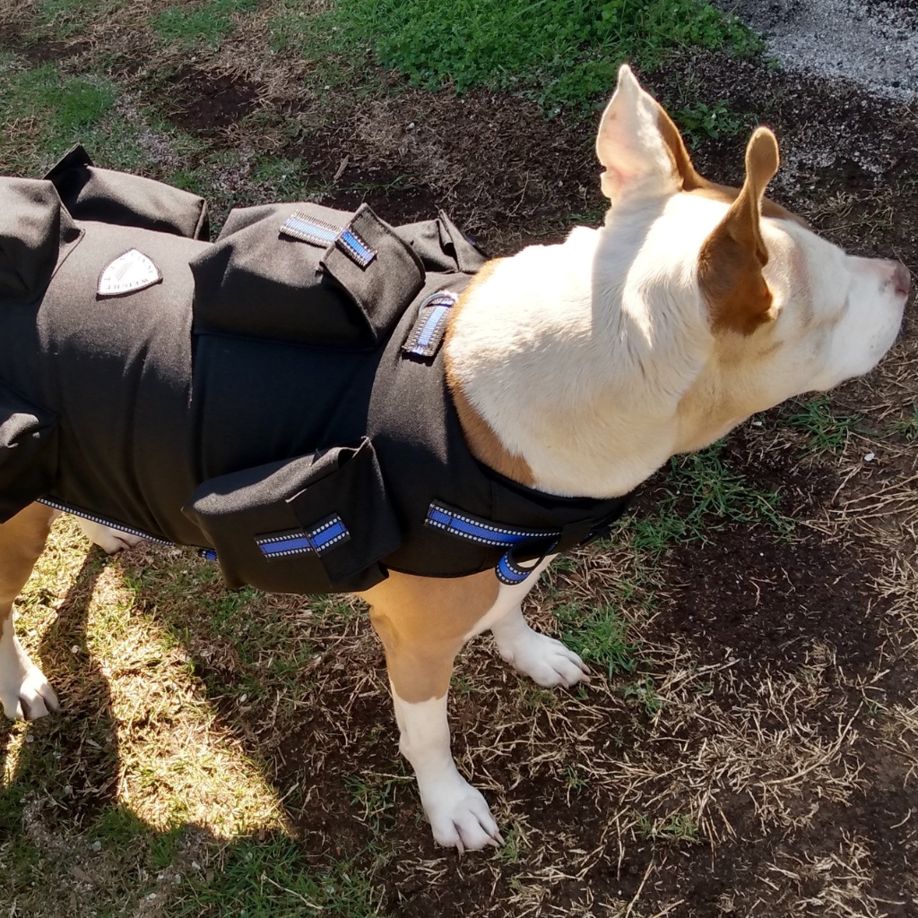 Weighted Dog Vest + Floatation Life Swim Vest